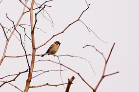 ���ϵ���ȸ