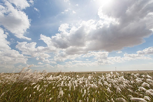 ������԰