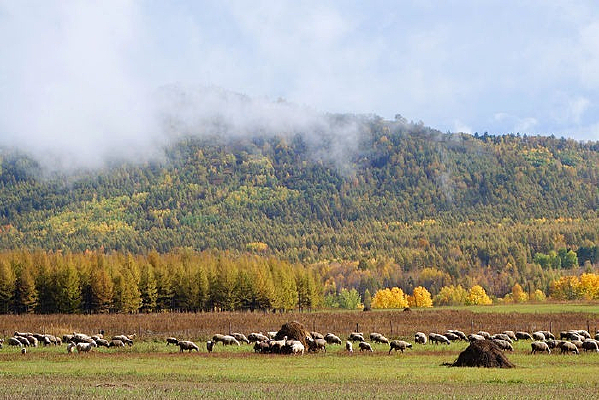 �ּ�������Ⱥ