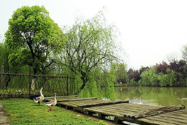 �����Ե���ֻѼ��