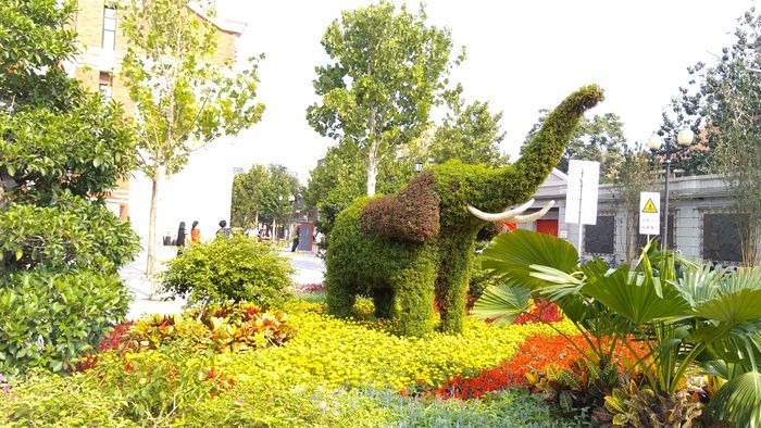 �����Ĵ���