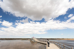 ����ʪ��