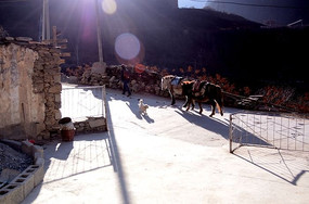 �Ĺ���ɽ���µ�С��