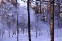 ѩԭ��������