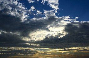 �����Ʋ�������