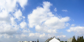 ������Ƴ�����ҵ��