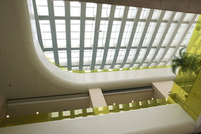 ����״��չ���ݰ�ɫ����