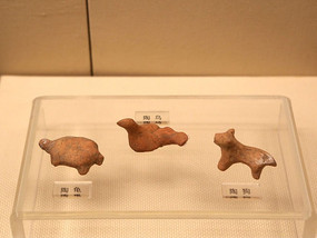 ��ʯ��ʱ�������չ�����