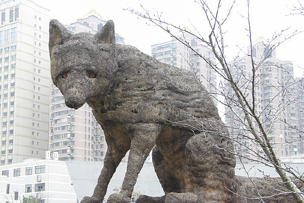 ���ܶ��к���