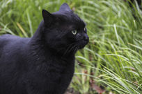 �ݴ��е��۾�