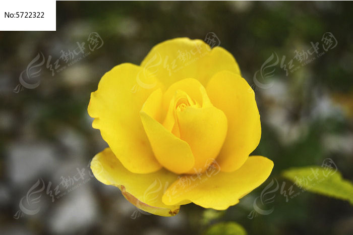 ��ɫ�¼�ͼƬ