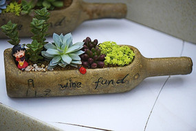 ƿ���͸����Զ���ֲ��