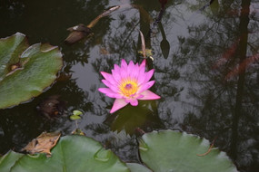 ʢ����һ��˯��