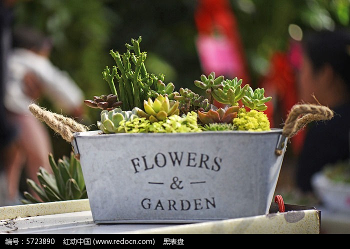 ��Ͱ�����Զ���ֲ��ͼƬ