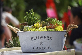 ��Ͱ�����Զ���ֲ��