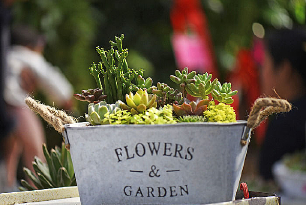 ��Ͱ����