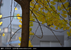 ���ȶ��˵�������