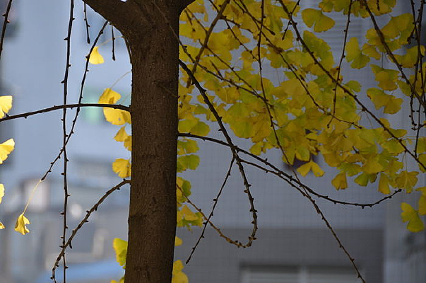 ���ȶ���