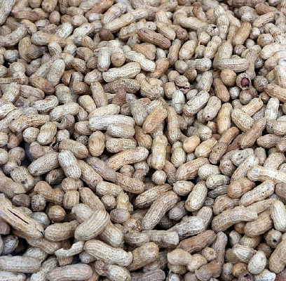 �ɶѳ���Ļ���