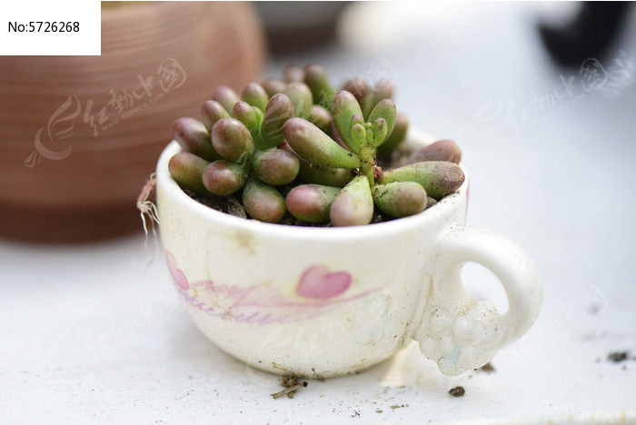 �ɱ��Զ���ֲ��ͼƬ