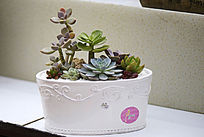 ����ֲ������辰