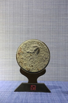 һ�������Ŵ��ĳ滯ʯ�ڼ�