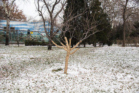 �����ݵ��ϵ���