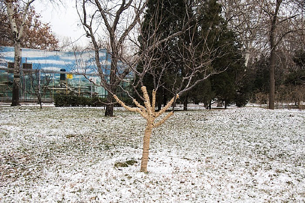 �����ݵ�