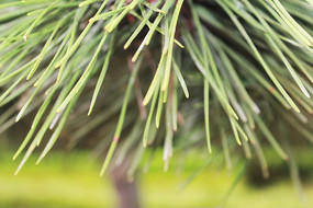 �ļ�����