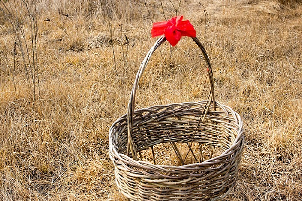 ���ƵĻ���