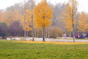 �����̲ݵ�