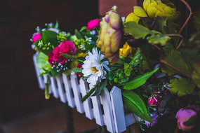 һֱ���޵Ļ�