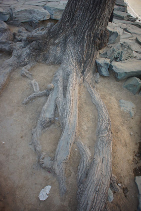 ��©�ڵ����ϵ�����