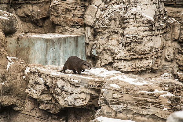 ��ʳ�е�ˮ̡