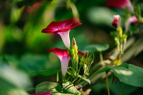 ���޵����Ȼ�