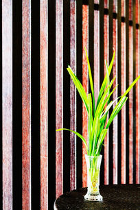 С���Ϸ���һƿ��ɫֲ��