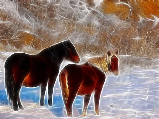 ���Ի���ѩҰ������