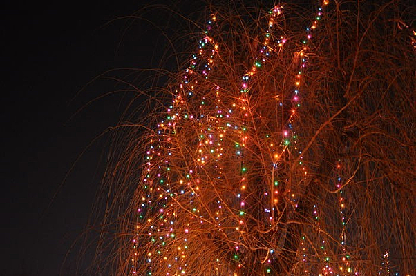 �����ʵƵ�����