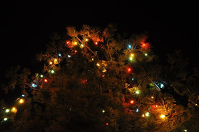 �����ʵƵ�����