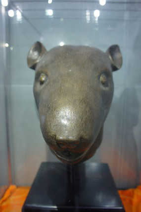 Բ��԰ʮ���������� ��