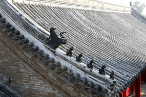 ��ʽ��ͷ���������ݶ�