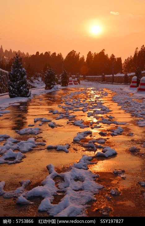 雪後陽光下的道路