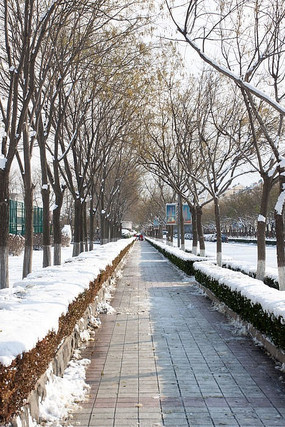 ѩ������