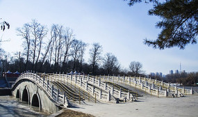 ��ɽ����µĸ���ʽ�����Ŷ���