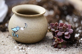 �������ֲ�Ķ���ֲ��