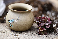 �������ֲ�Ķ���ֲ��