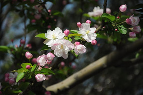 ʢ���ĺ���