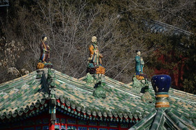 �ú�԰�Ž����ݶ����������