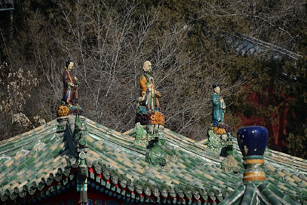 �ú�԰�Ž����ݶ����������