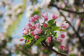 һ���������ŵĺ���